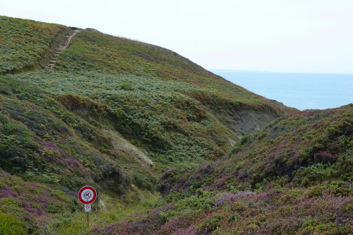 Découverte de la Bretagne par le chemin des douaniers